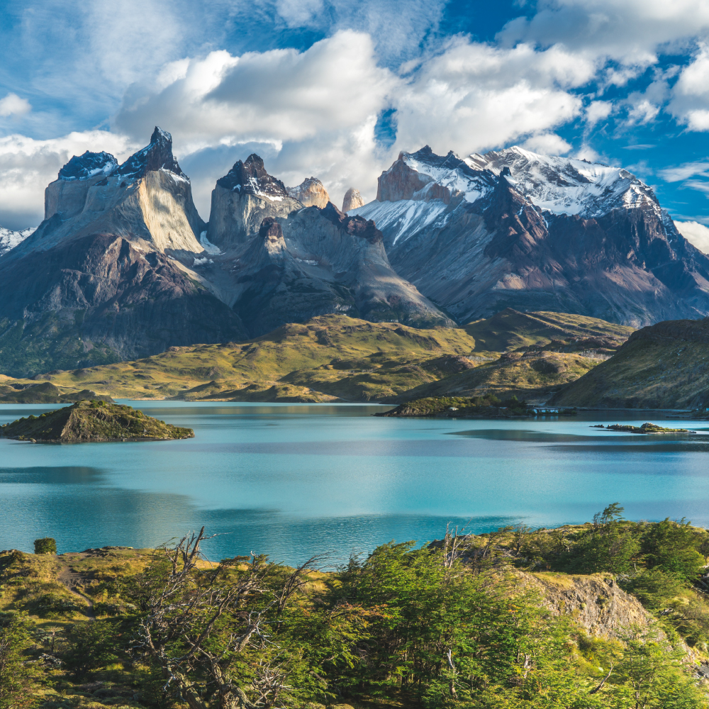 Top 6 Parques Nacionales | Blog | Gato - Típico Chileno